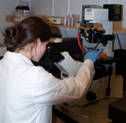 Student operates a microscope.