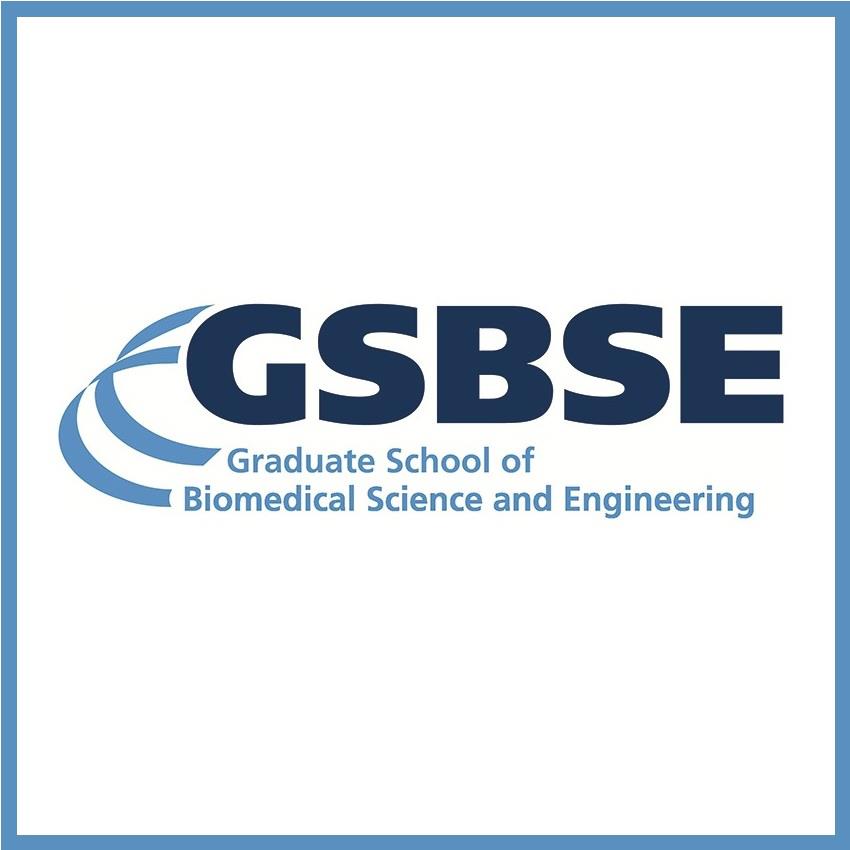 GSBSE logo.