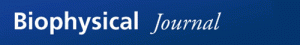 Biophysical Journal Logo
