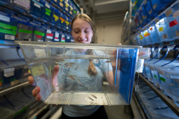Caitlin Howell and her students Brandon Dixon (MS) and Damon Williams (1st year undergrad) use "bio inspired" 3D printed vascular polymers to help solve problems ranging from delivering medicine to people to detecting dangerous chemicals underground.